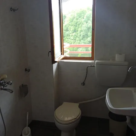 게스트하우스 Victoria 시네모레츠