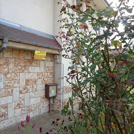 게스트하우스 Victoria 시네모레츠