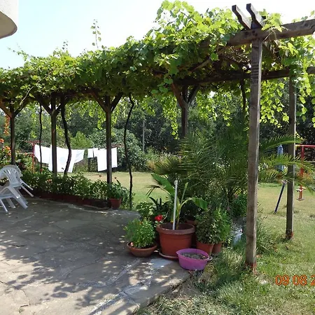 Victoria 게스트하우스