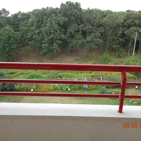 Guest house Victoria 2*