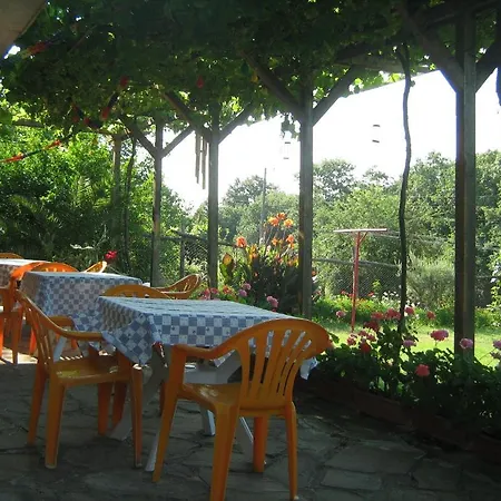 Victoria 게스트하우스 시네모레츠