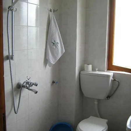 Guest house Victoria 2*