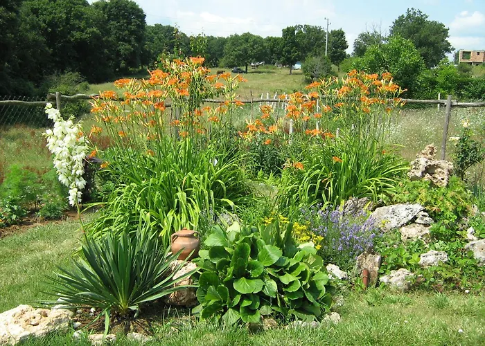 Victoria 2* 辛尼莫雷特