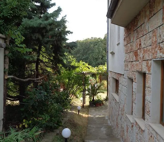 Victoria 2* 辛尼莫雷特