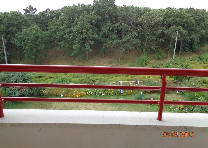 招待所 Victoria 2*