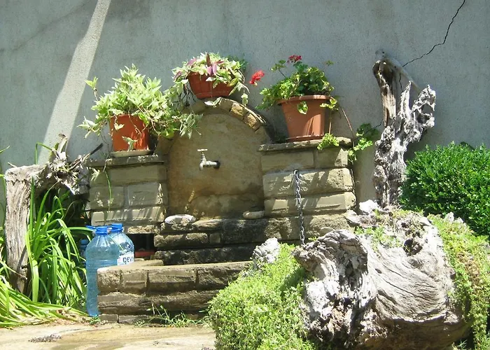 招待所 Victoria 辛尼莫雷特