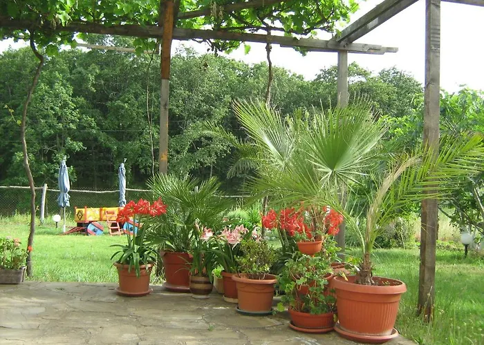 招待所 Victoria 辛尼莫雷特