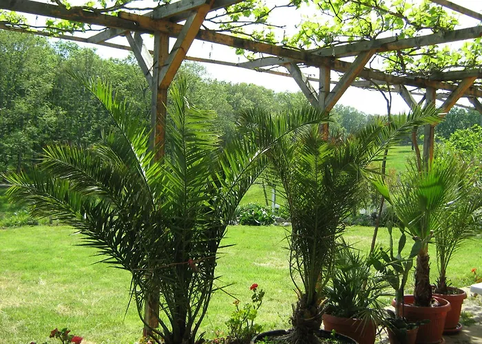 Guest house Victoria Sinemoretz