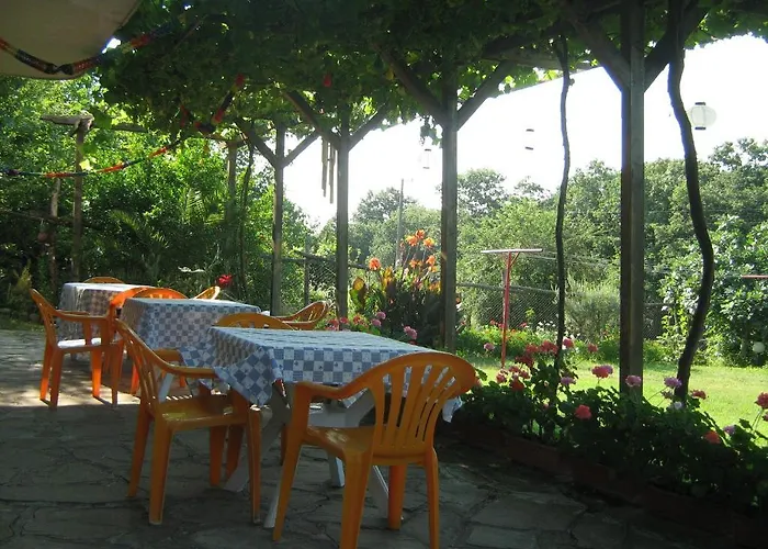 Victoria Guest house Sinemoretz