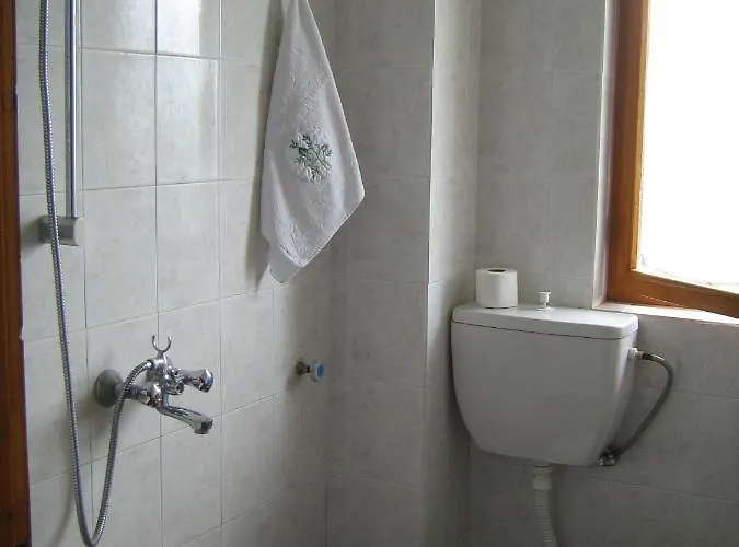 Guest house Victoria 2*